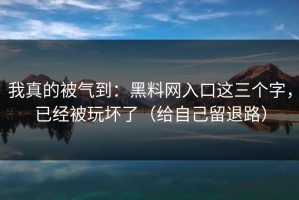 我真的被气到：黑料网入口这三个字，已经被玩坏了（给自己留退路）